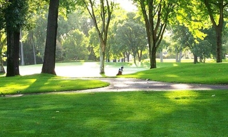 9-Hole Round of Golf for One, Two, or Four at Brookland Golf Park (35% Off)