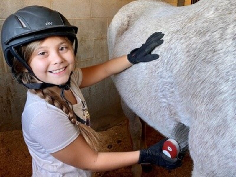 Up to 20% Off on Horse Back Riding - Training at Silvers Stables