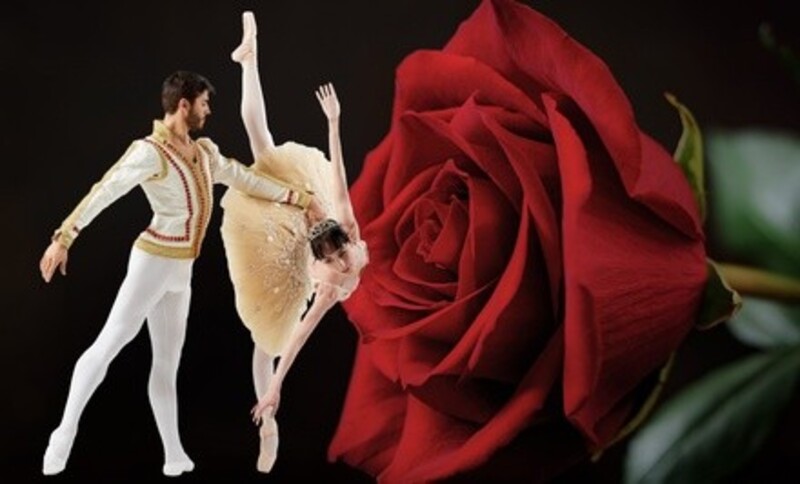 Ajkun Ballet Presents "Don Quixote" (April 23–May 8)