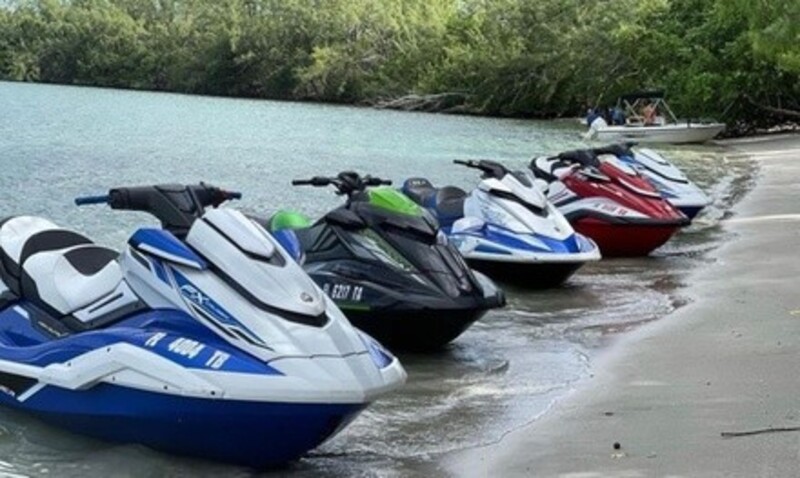 Deal for Ledy Wet Adventures