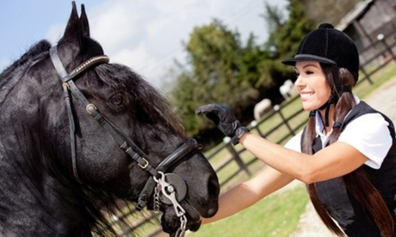 Two or Three 30-Minute Private Horseback-Riding Lessons at Ocala Equestrian Academy (Up to 46% Off)