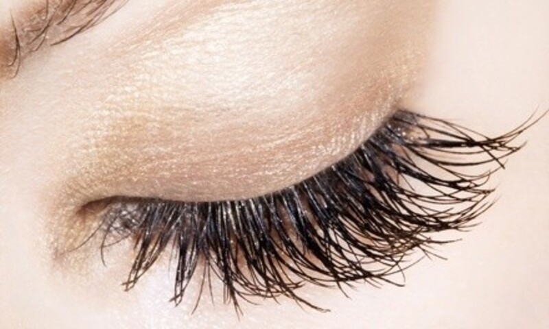 Deal for Lola's Lashes