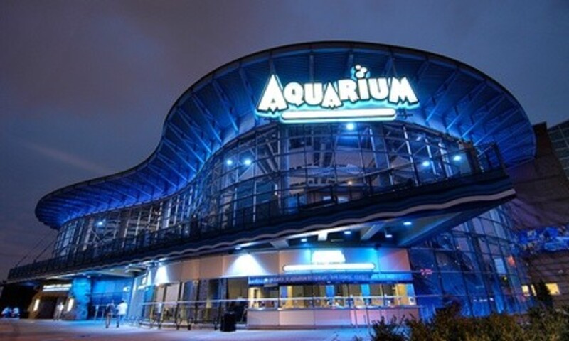 All-day Aquarium Adventure Passes to Denver Downtown Aquarium + Landry's eGift Card (Up to 26% Off) 